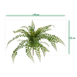 Pianta artificiale di felce Rotundifolia 55 cm