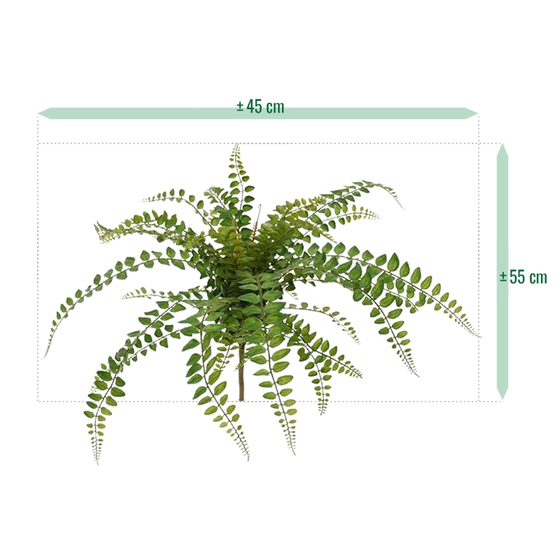 Pianta artificiale di felce Rotundifolia 55 cm