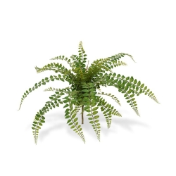 Pianta artificiale di felce Rotundifolia 55 cm