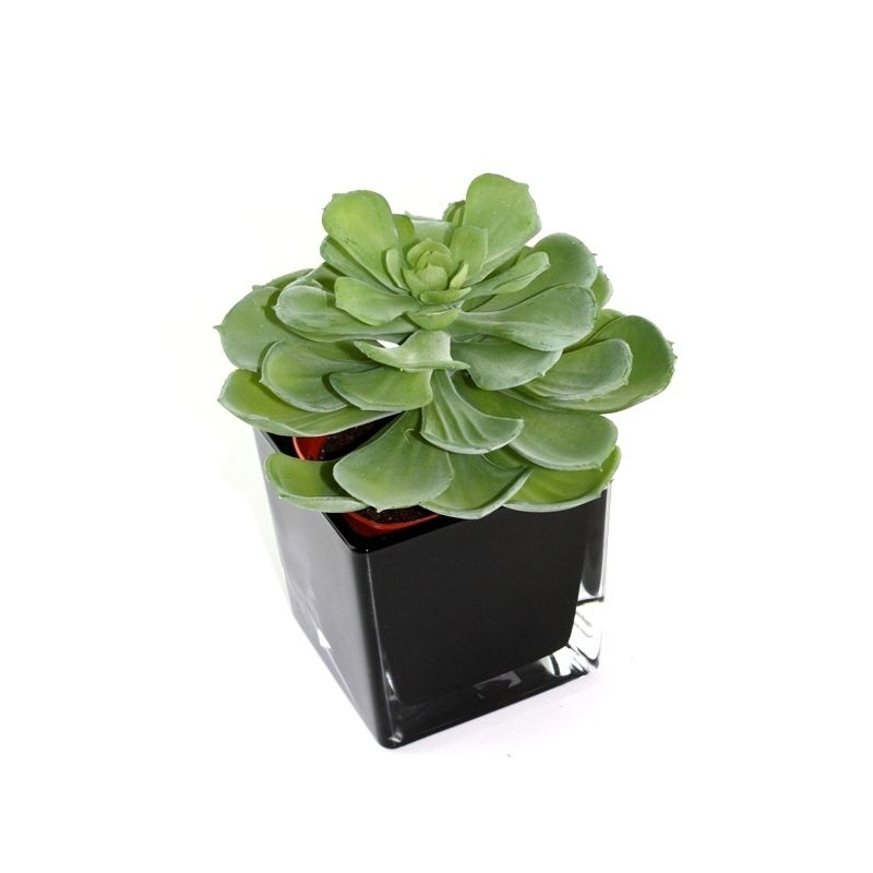 Echeveria succulenta artificiale 16 cm