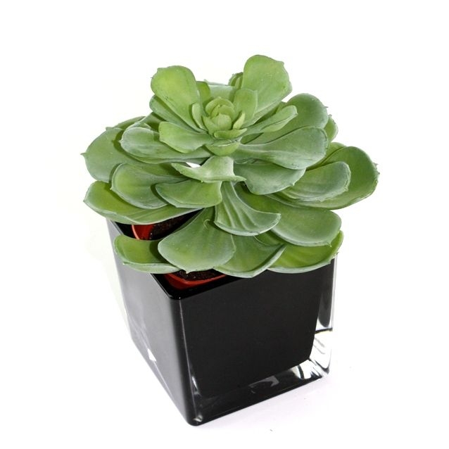 Echeveria succulenta artificiale 16 cm