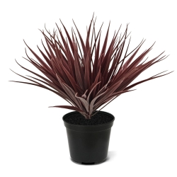 Erba artificiale di bambù 25 cm UV Borgogna
