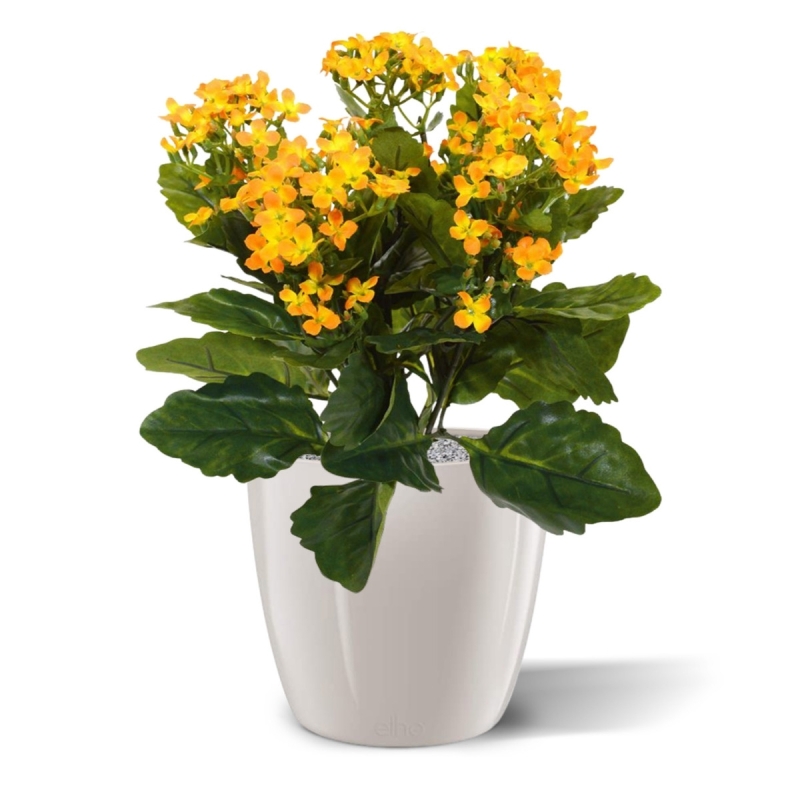 Pianta artificiale Kalanchoe 30 cm - arancione in vaso