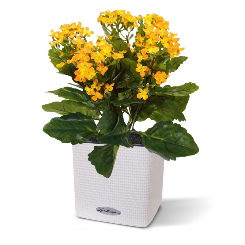 Pianta artificiale Kalanchoe 30 cm - arancione in vaso