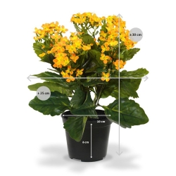 Pianta artificiale Kalanchoe 30 cm - arancione in vaso