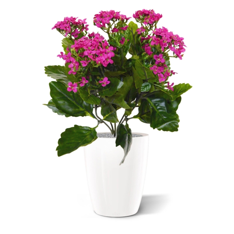 Pianta artificiale Kalanchoe 30cm in vaso - viola
