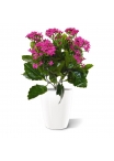 Pianta artificiale Kalanchoe 30cm in vaso - viola