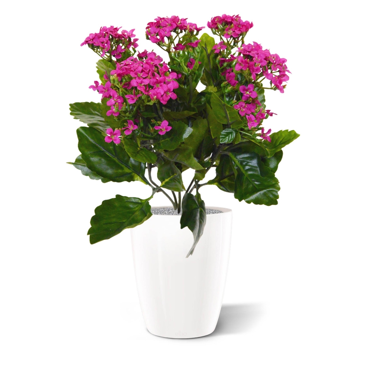 Pianta artificiale Kalanchoe 30cm in vaso - viola