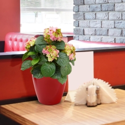 Pianta artificiale di ortensia deluxe 45 cm - rosa