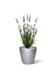 Pianta artificiale di lavanda 50cm in vaso - blu - resistente ai raggi UV