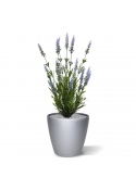 Pianta artificiale di lavanda 50cm in vaso - blu - resistente ai raggi UV