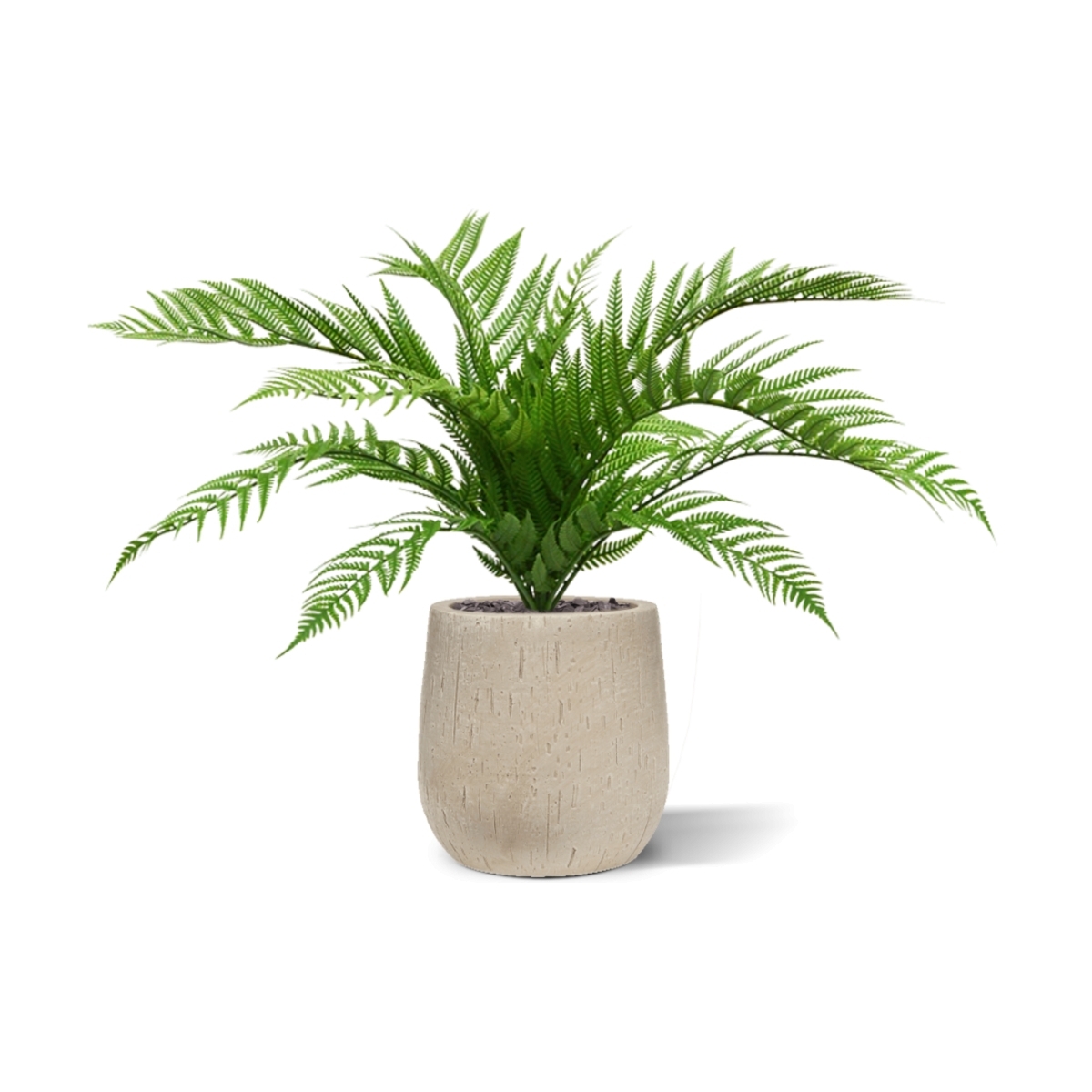 Bouquet di felci artificiali Alsophilla 60 cm UV