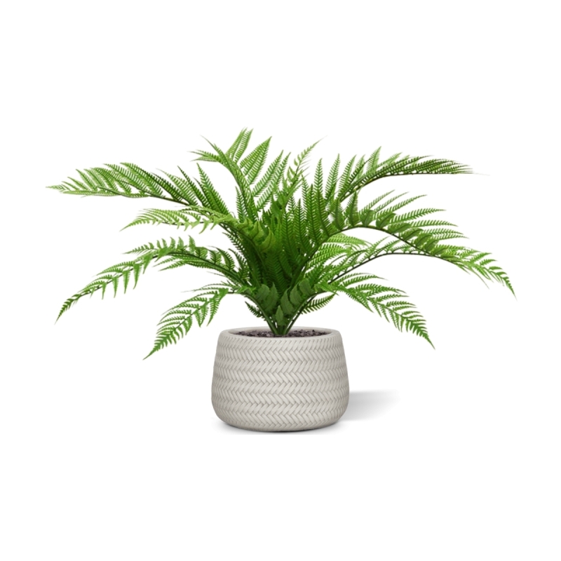 Bouquet di felci artificiali Alsophilla 60 cm UV