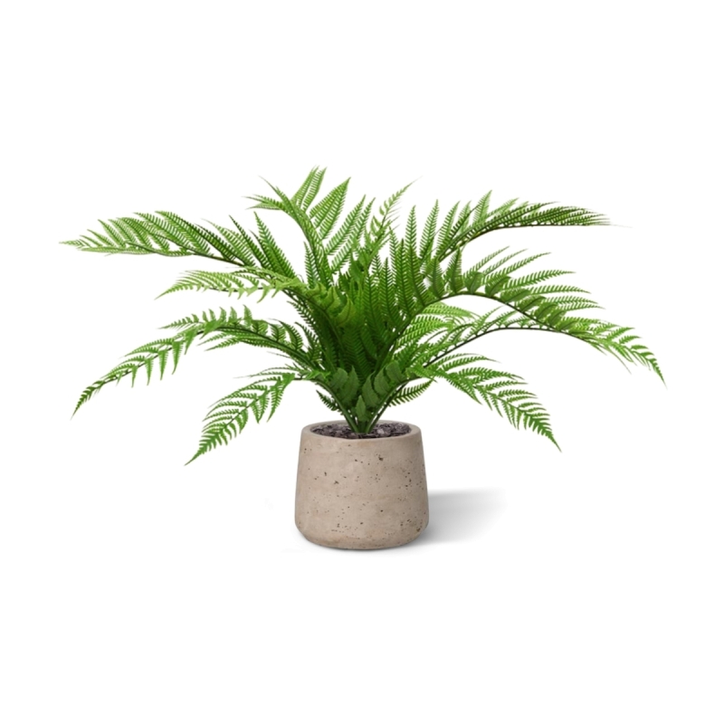 Bouquet di felci artificiali Alsophilla 60 cm UV
