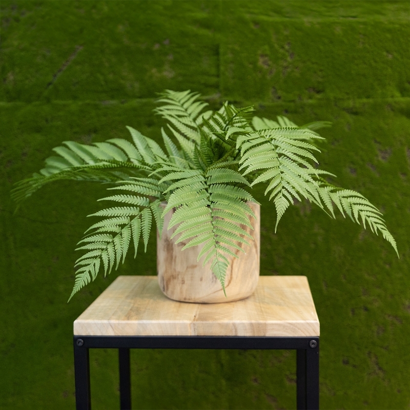 Bouquet di felci artificiali Alsophilla 60 cm UV