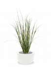 Pianta artificiale di erba ornamentale di bambù 80cm