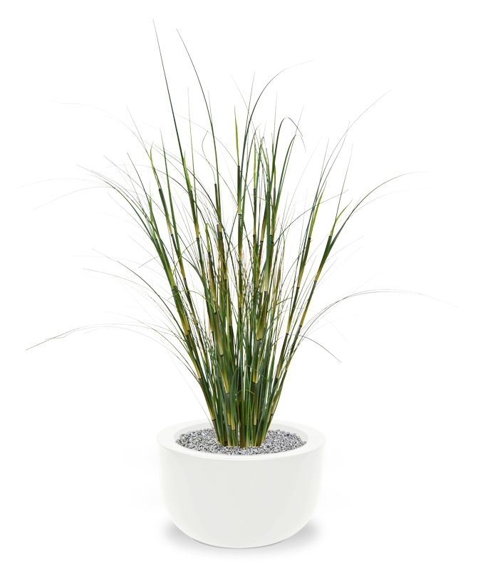 Pianta artificiale di erba ornamentale di bambù 80cm