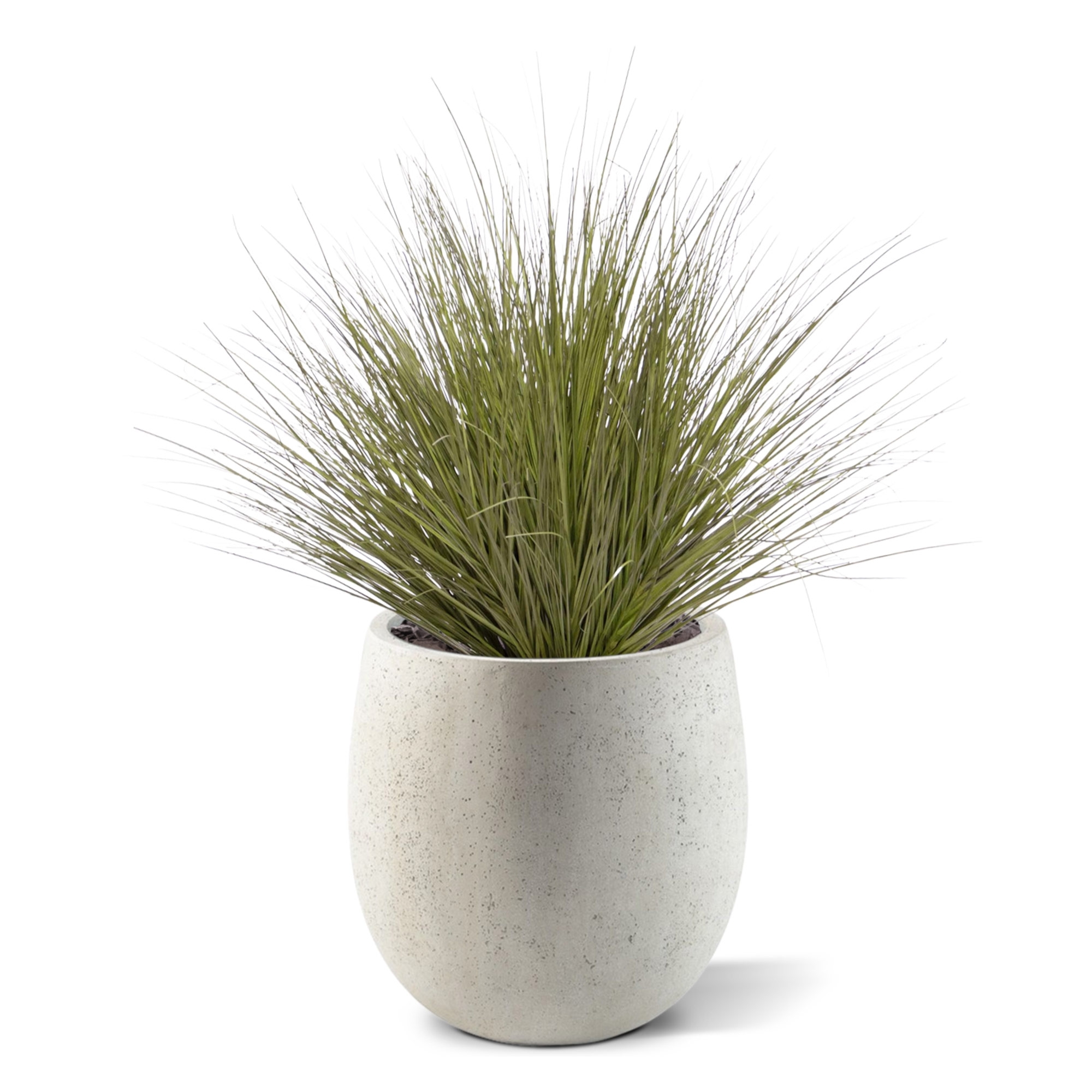 Pianta d'erba artificiale 70 cm verde scuro