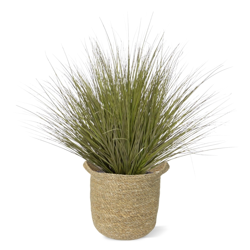 Pianta d'erba artificiale 70 cm verde scuro
