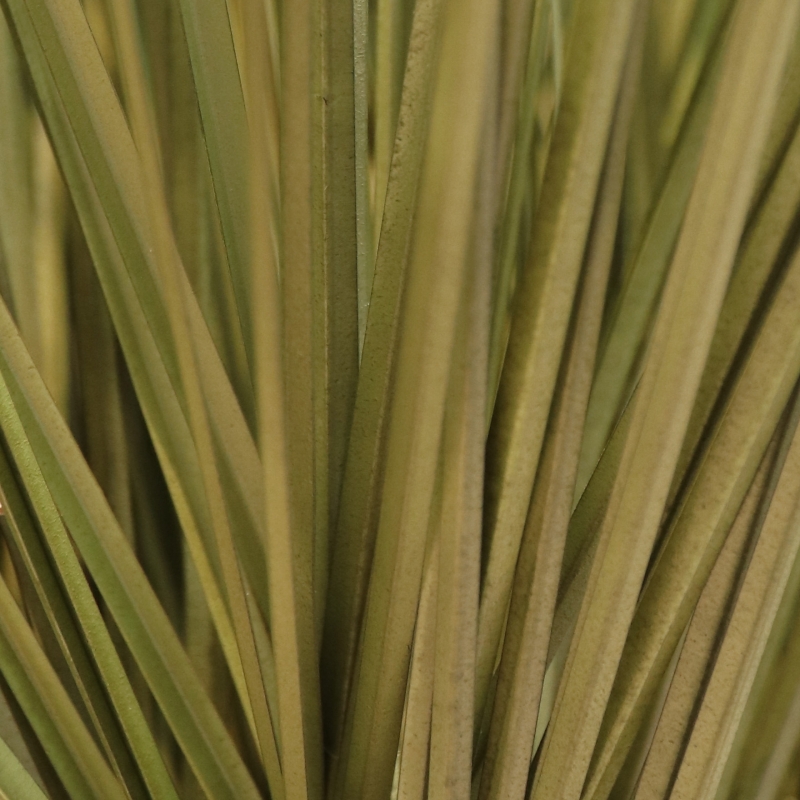 Pianta d'erba artificiale 70 cm verde scuro