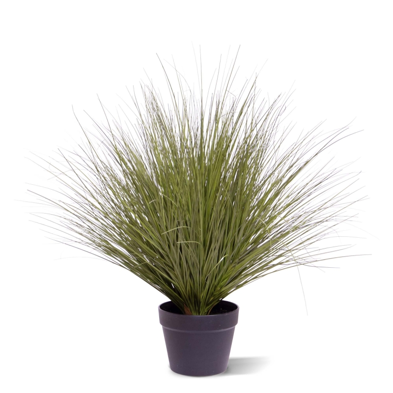 Pianta d'erba artificiale 70 cm verde scuro