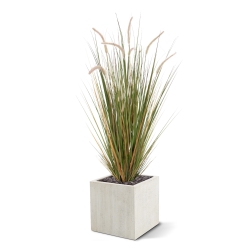 Pianta d'erba artificiale Pennisetum 100cm