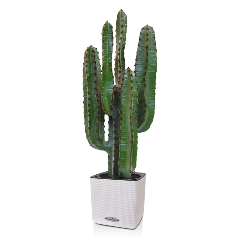 Cactus artificiale Euphorbia 70 cm
