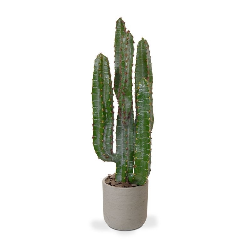 Cactus artificiale Euphorbia 70 cm