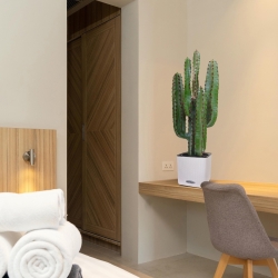 Cactus artificiale Euphorbia 70 cm