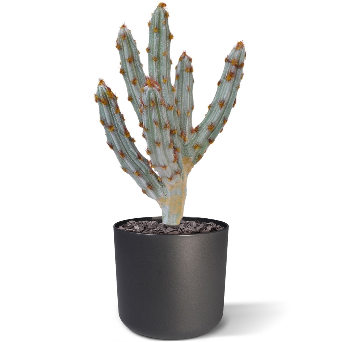 Bouquet artificiale di cactus Tetragonus 35 cm marrone