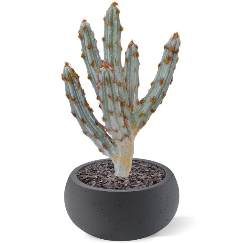Bouquet artificiale di cactus Tetragonus 35 cm marrone