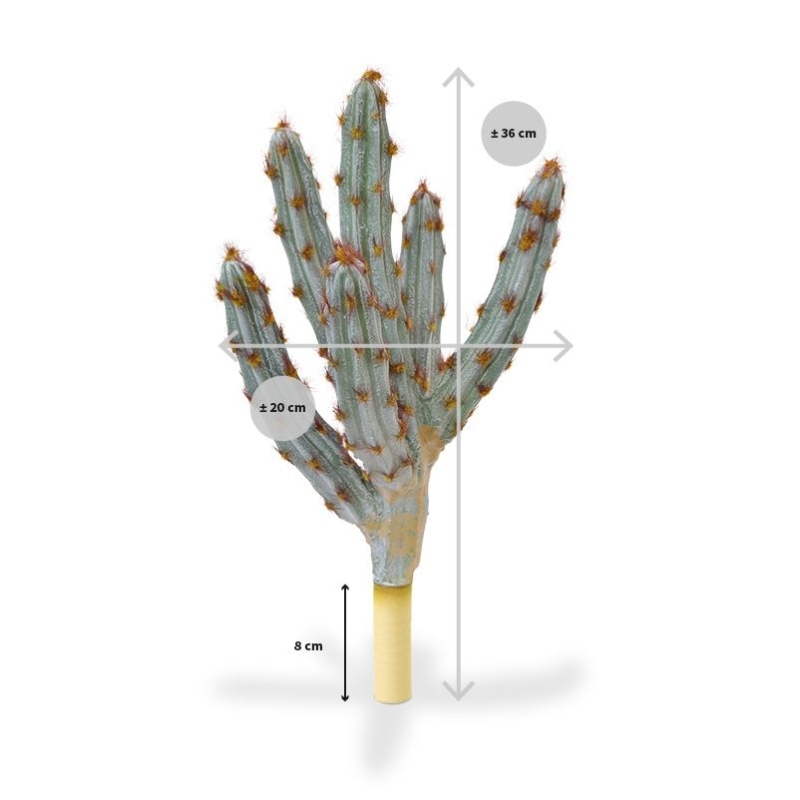 Bouquet artificiale di cactus Tetragonus 35 cm marrone