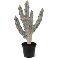 Bouquet artificiale di cactus Tetragonus 35 cm marrone