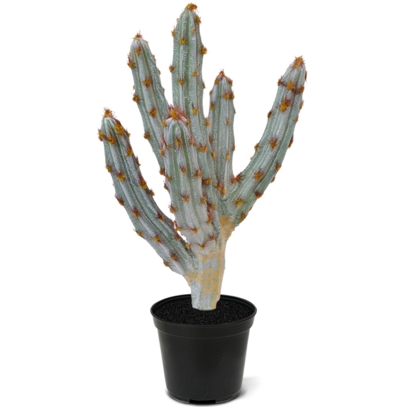 Bouquet artificiale di cactus Tetragonus 35 cm marrone