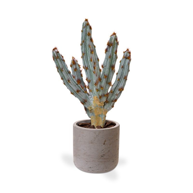 Bouquet artificiale di cactus Tetragonus 35 cm marrone