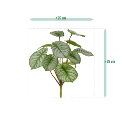 Cespuglio artificiale di Pepperomia RT 25 cm