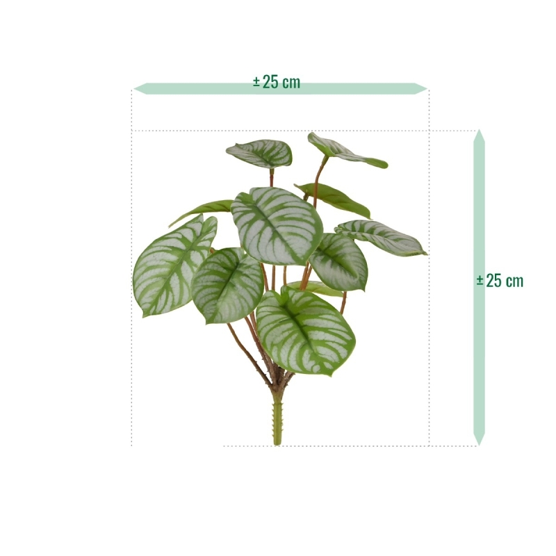 Cespuglio artificiale di Pepperomia RT 25 cm