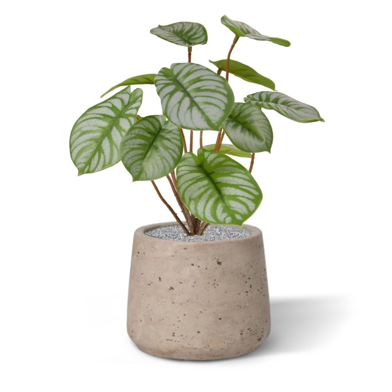 Cespuglio artificiale di Pepperomia RT 25 cm