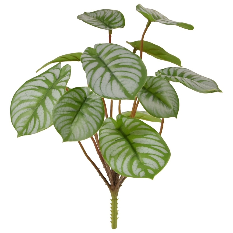 Cespuglio artificiale di Pepperomia RT 25 cm