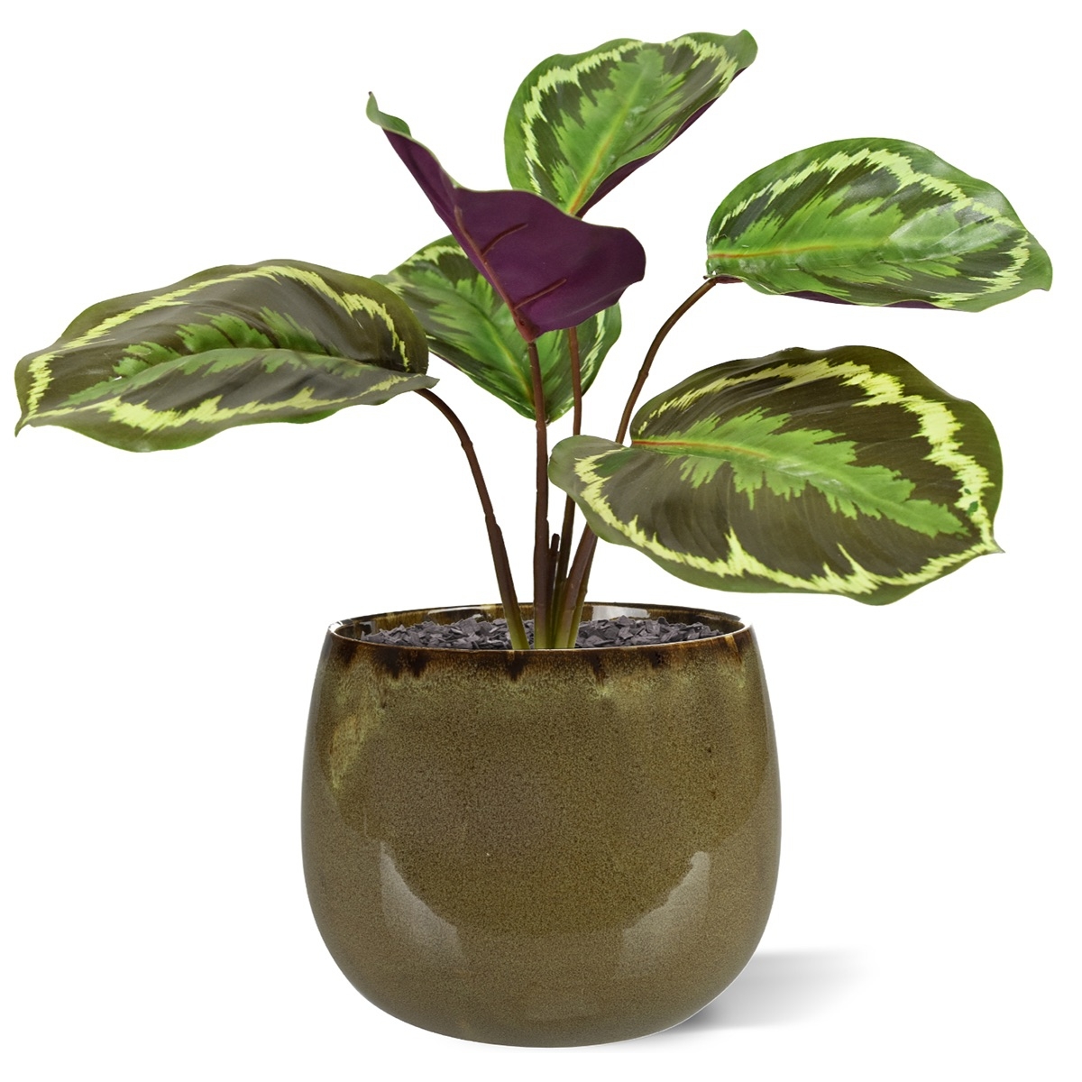 Cespuglio artificiale di Calathea Ornata 25 cm