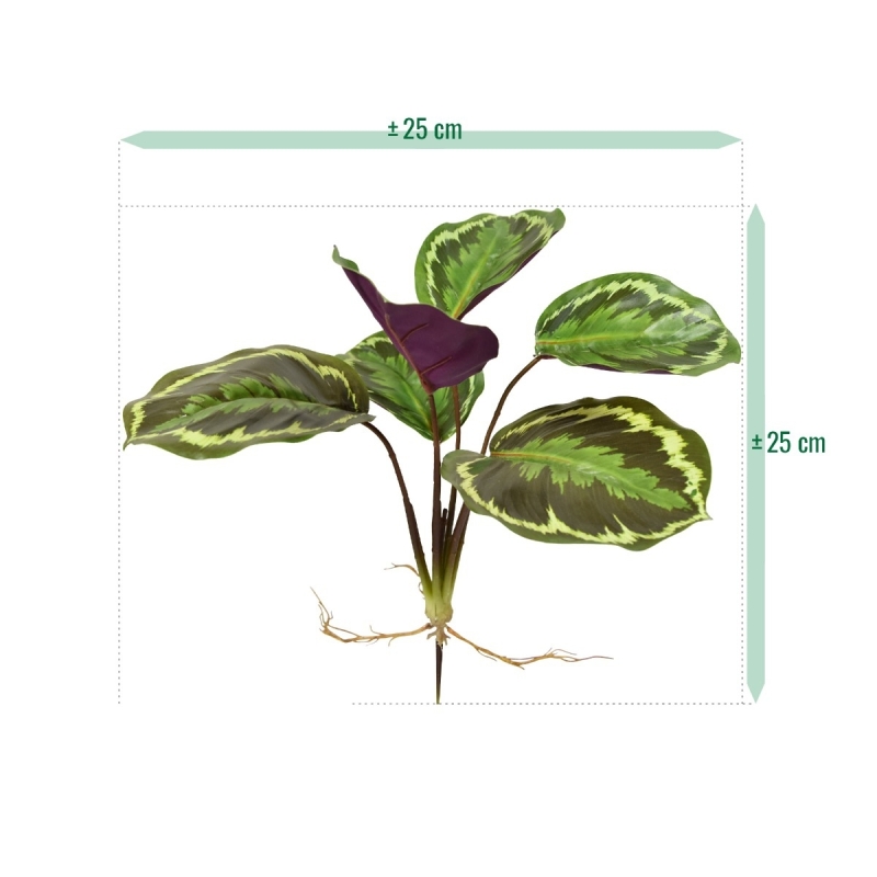 Cespuglio artificiale di Calathea Ornata 25 cm