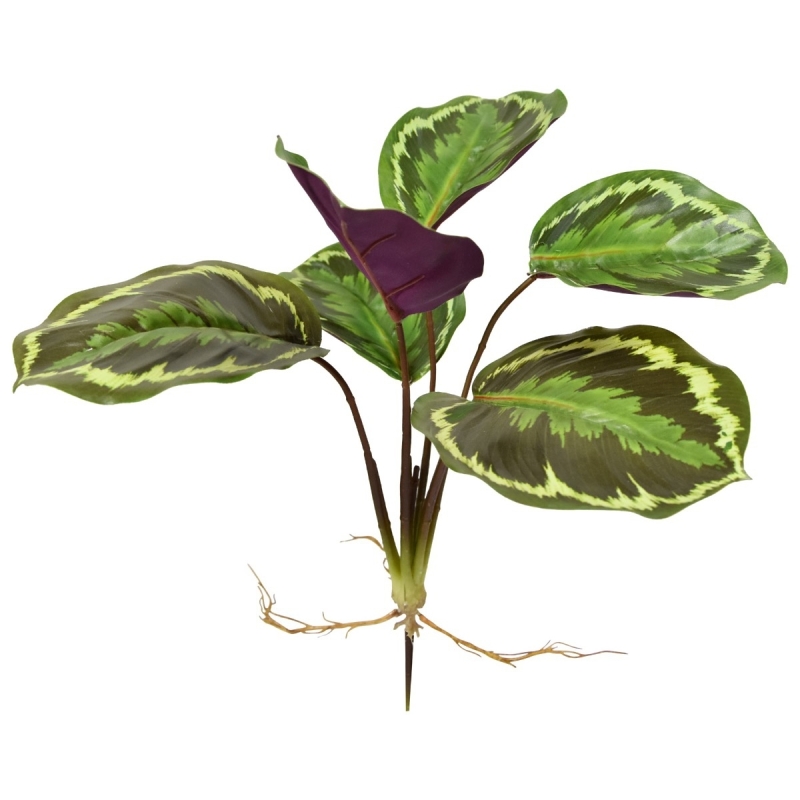 Cespuglio artificiale di Calathea Ornata 25 cm
