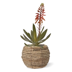 Pianta artificiale di Aloe Vera 30cm rosso