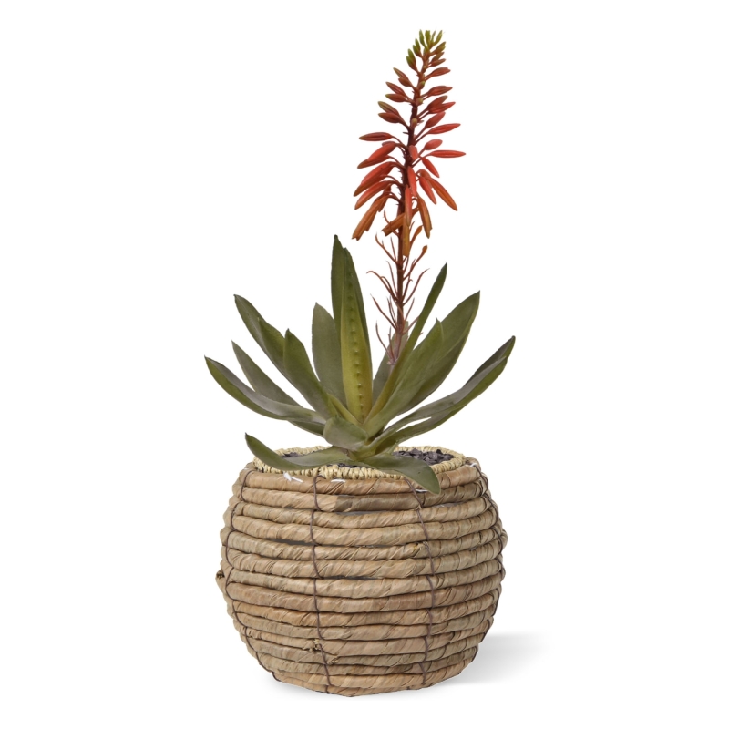 Pianta artificiale di Aloe Vera 30cm rosso
