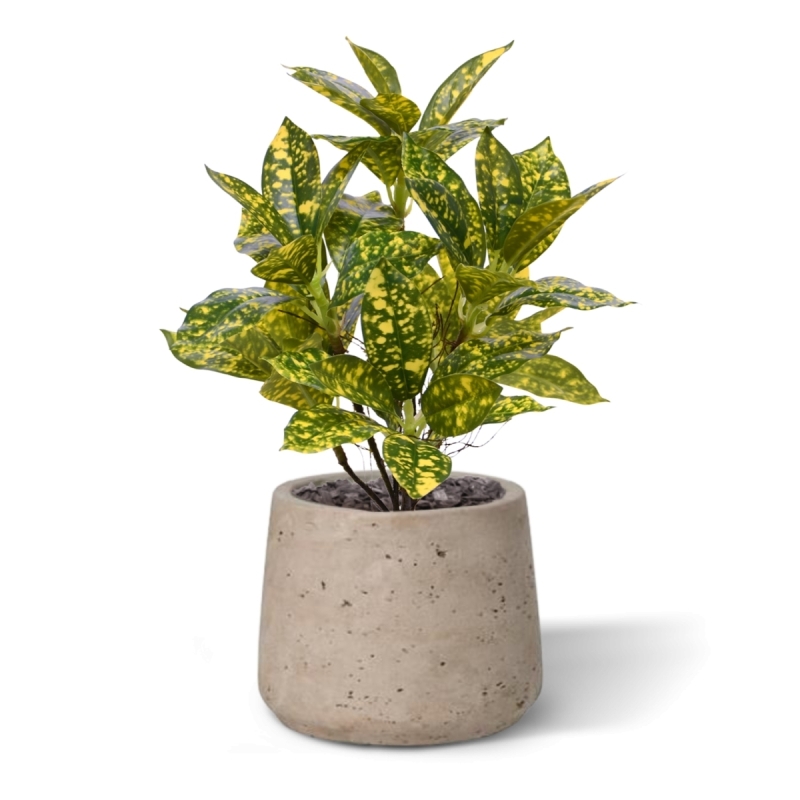 Acuba Japonica 35cm pianta artificiale