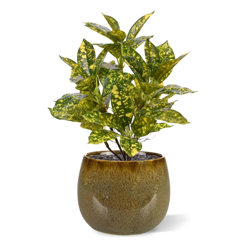 Acuba Japonica 35cm pianta artificiale