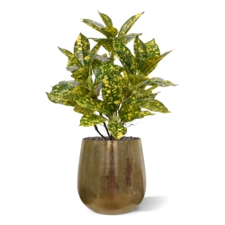 Acuba Japonica 35cm pianta artificiale