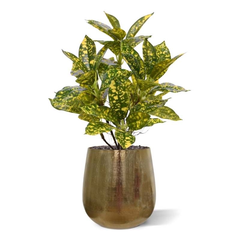 Acuba Japonica 35cm pianta artificiale