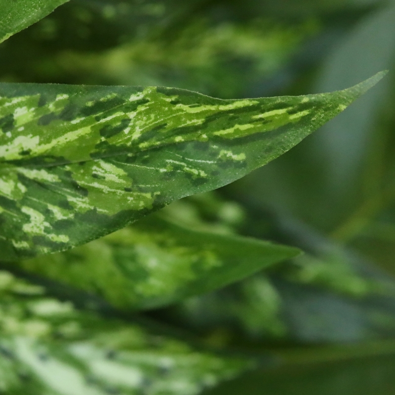 Pianta Aglaonema N Artificiale 40cm