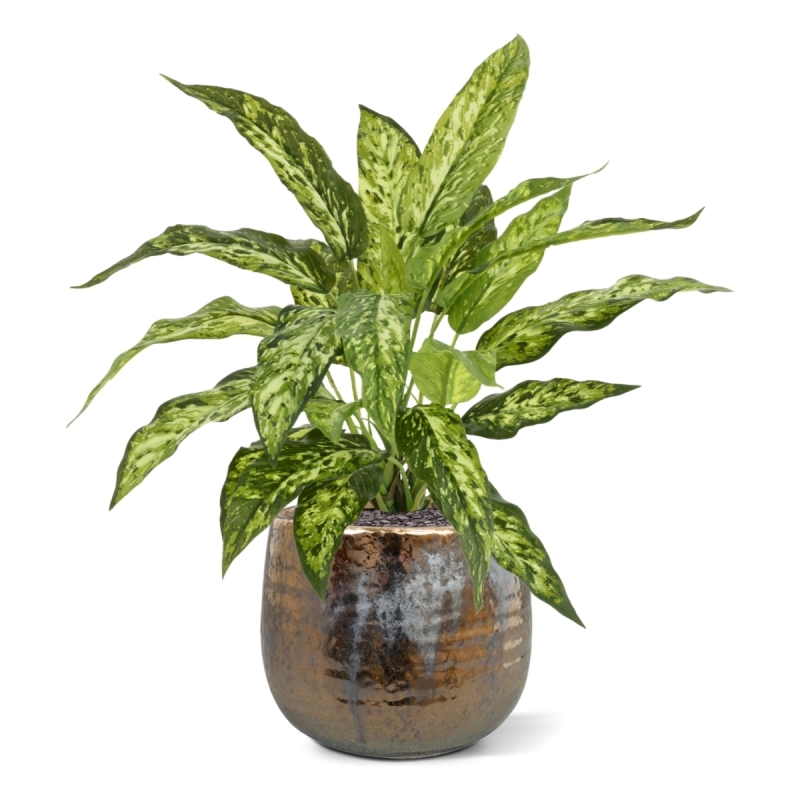 Pianta Aglaonema N Artificiale 40cm